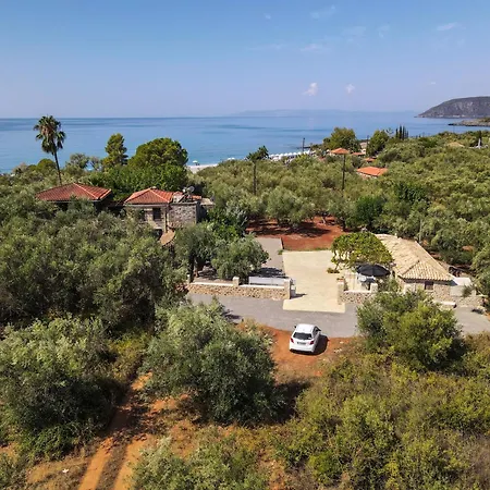 Olive Grove By The Sea 30m From The *