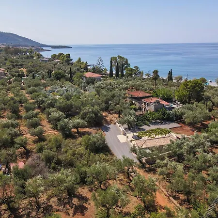 בית נופש Olive Grove By The Sea 30m From The *