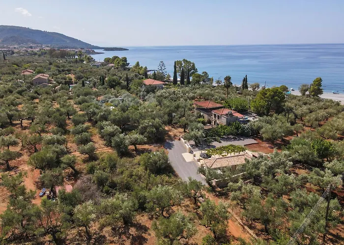 בית נופש Olive Grove By The Sea 30m From The *